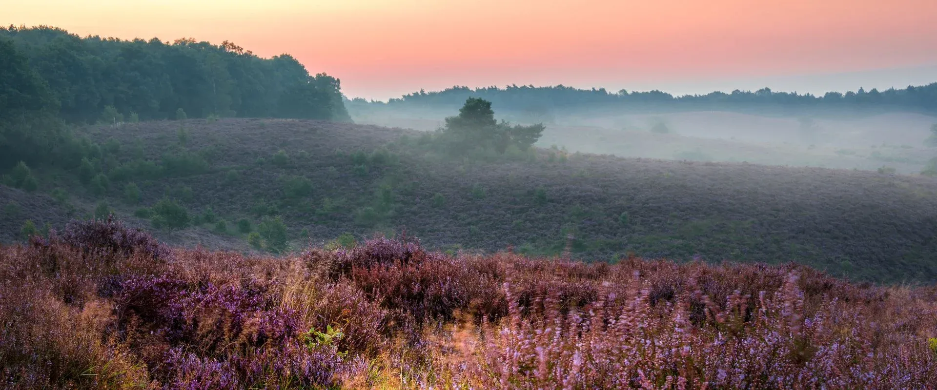 Veluwe omgeving