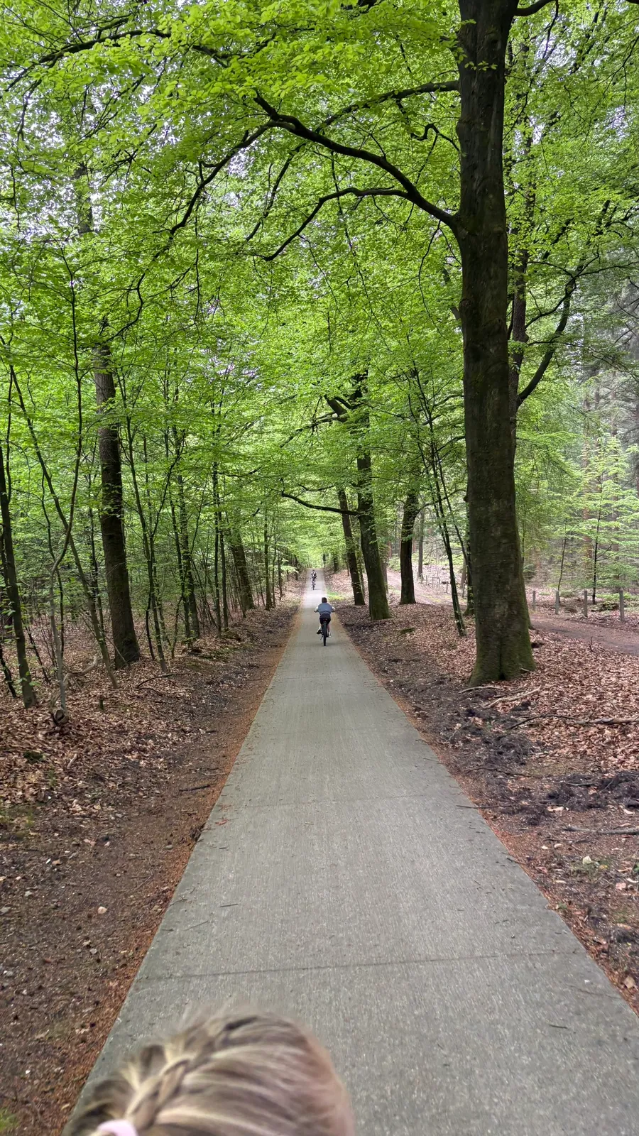 Radweg durch den Wald mit Radfahrern in der Ferne