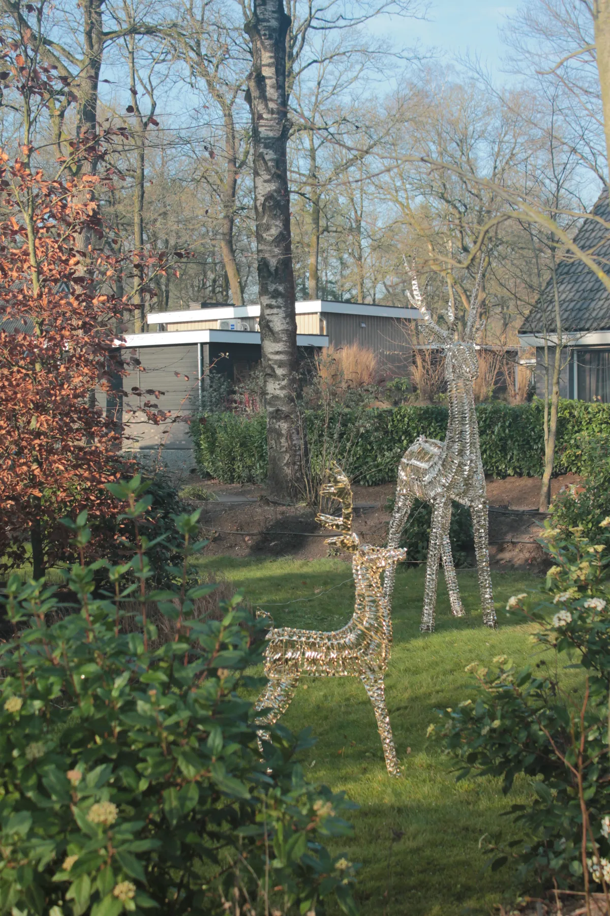 Herten in hun natuurlijke omgeving op de Veluwe bij Hoenderloo - wild spotten bij vakantiehuis Woeste Hoogte nr 15