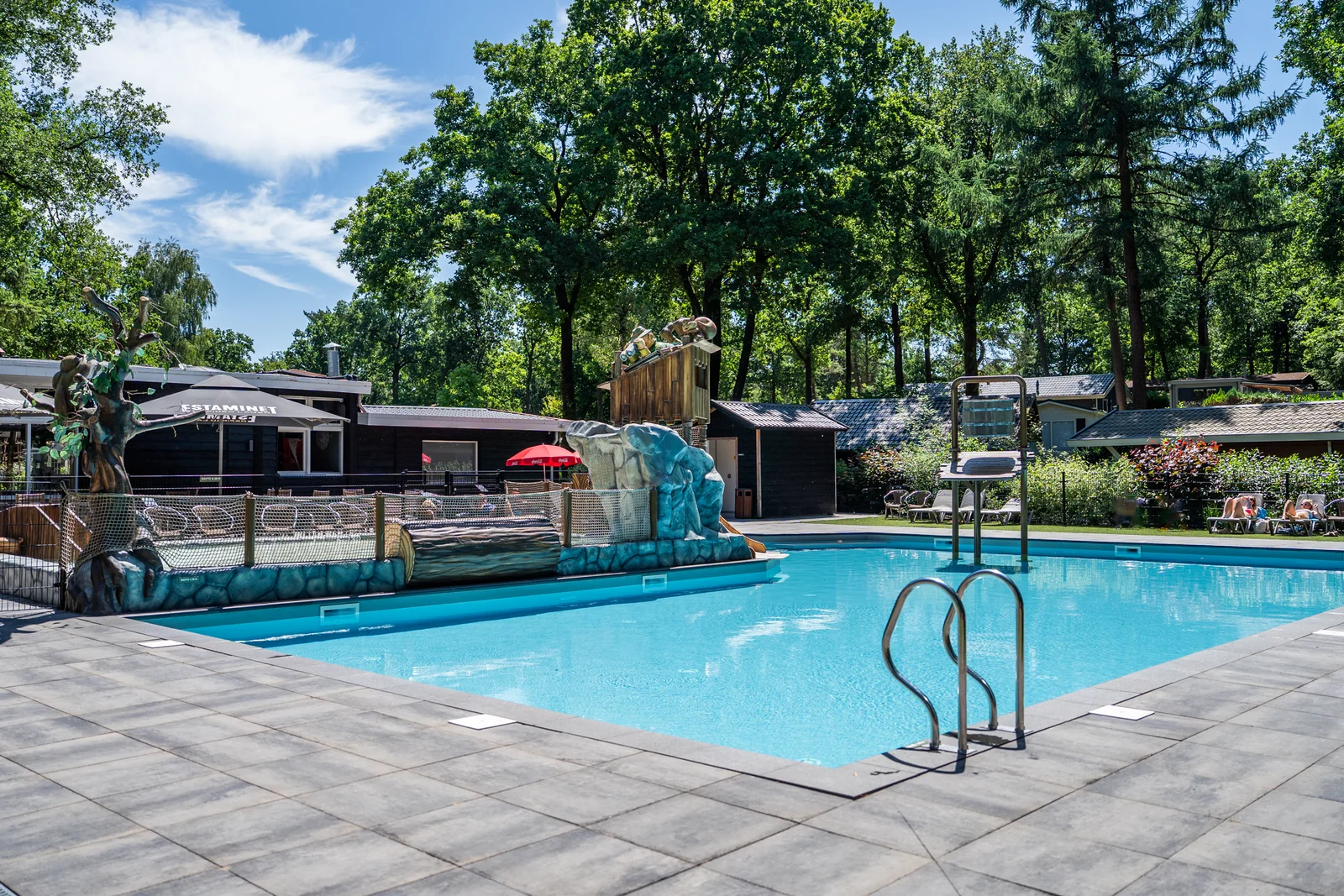 Buitenzwembad op vakantiepark De Rimboe & De Woeste Hoogte in Hoenderloo