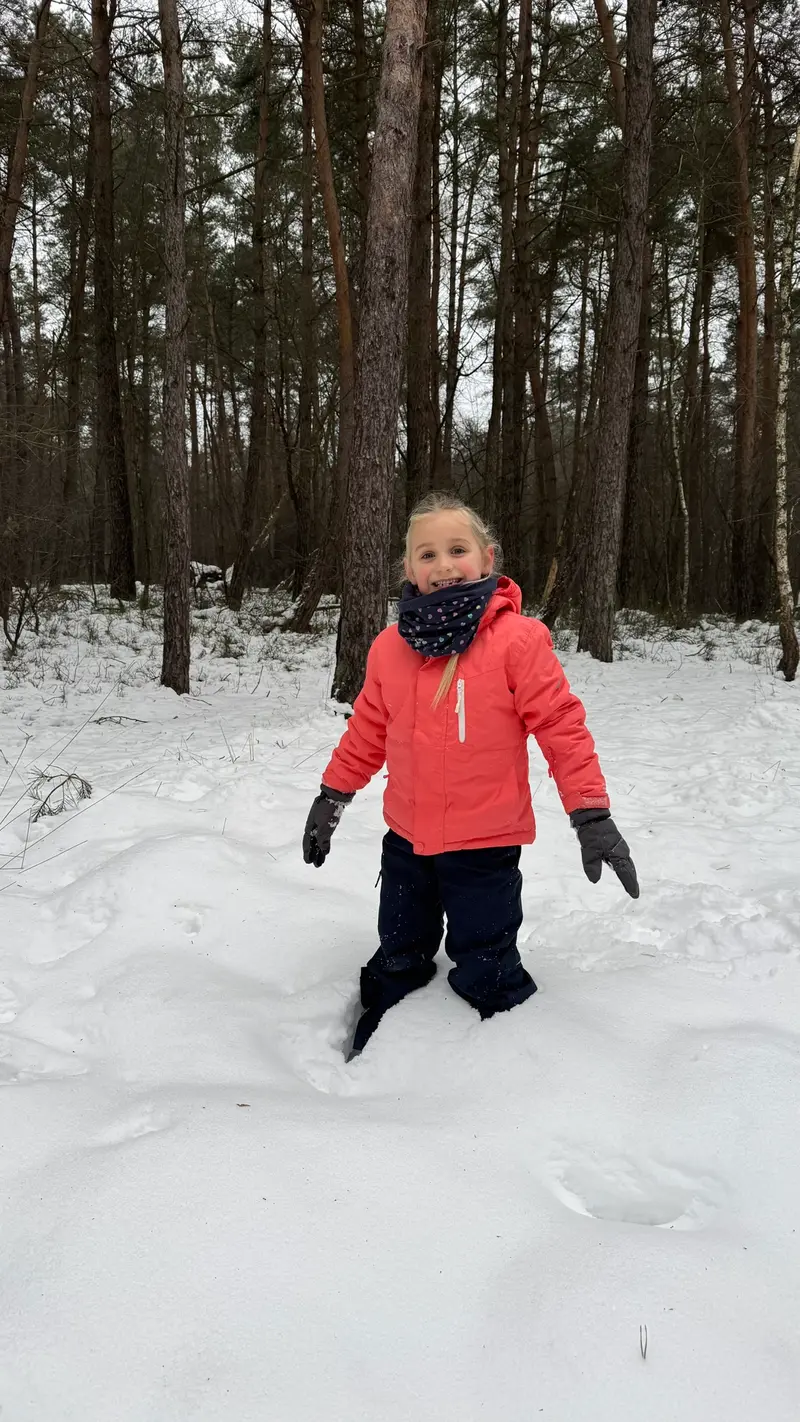 Winterlandschap Veluwe met sneeuw en slee