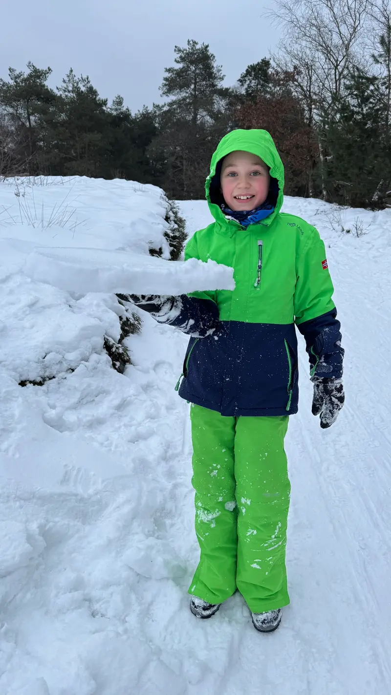 Besneeuwd boslandschap op de Veluwe