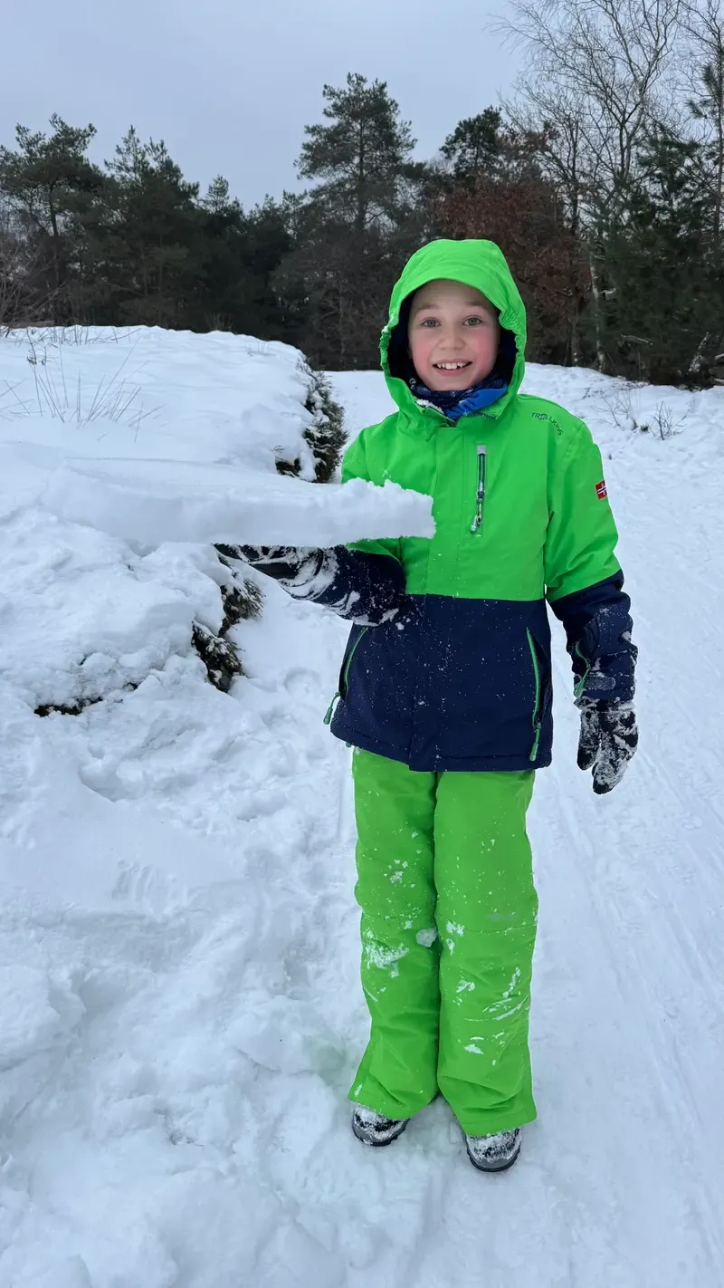 Verschneite Waldlandschaft in der Veluwe