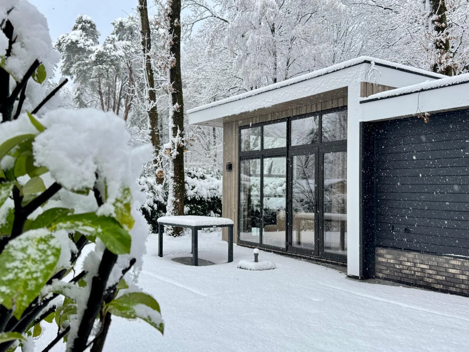 Winter op de Veluwe bij het vakantiehuis