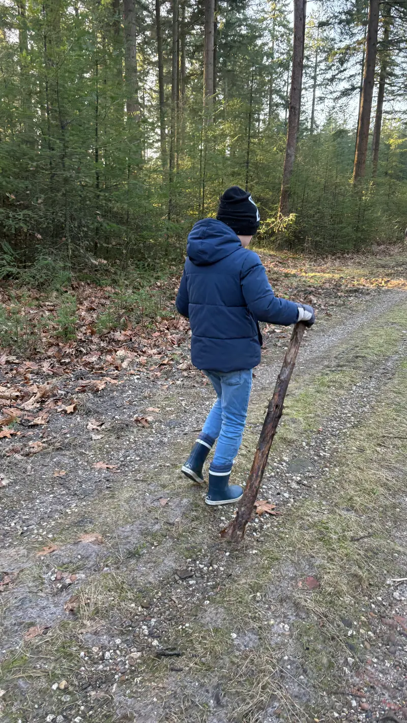 Boswandeling met kinderen op de Veluwe