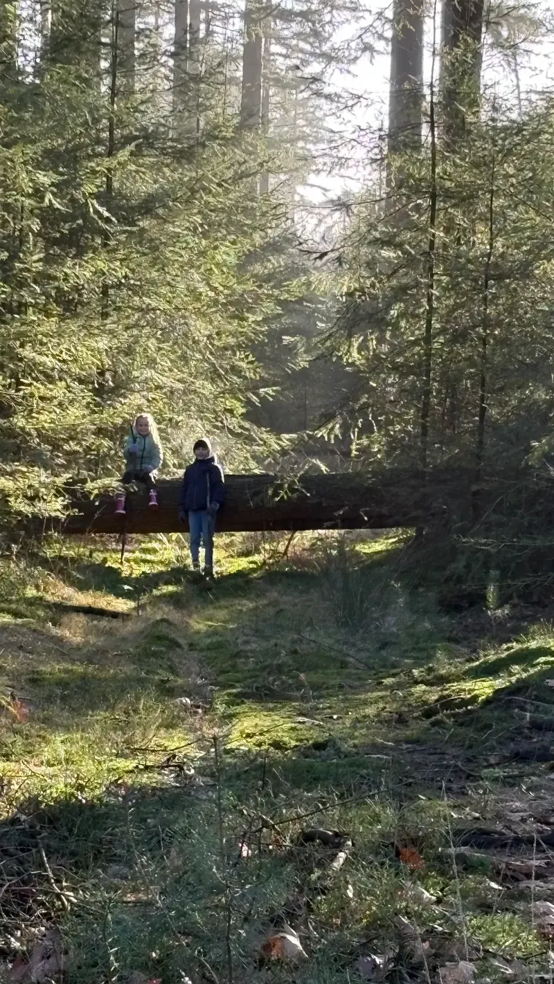 Natuurlijke omgeving tijdens wandeling met kinderen