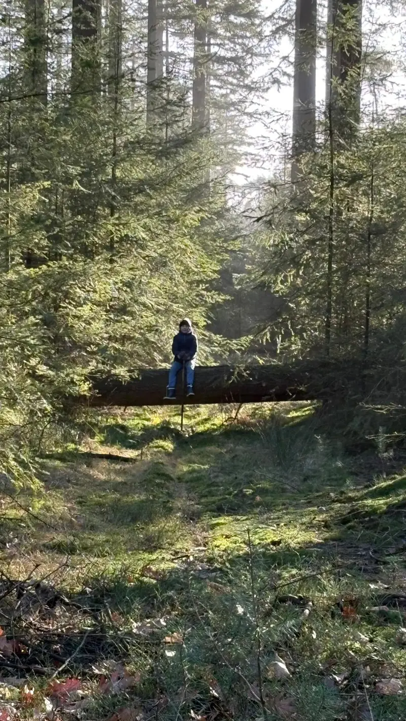 Gezinswandeling door het bos bij Hoenderloo