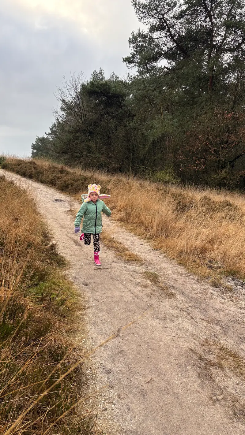 Wandeling door de Veluwse natuur met kinderen