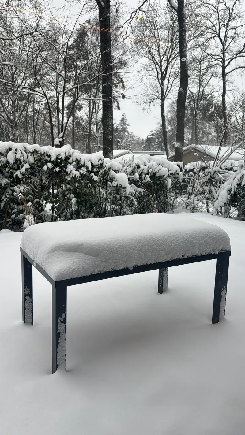 Winterlandschap op de Veluwe met verse sneeuw