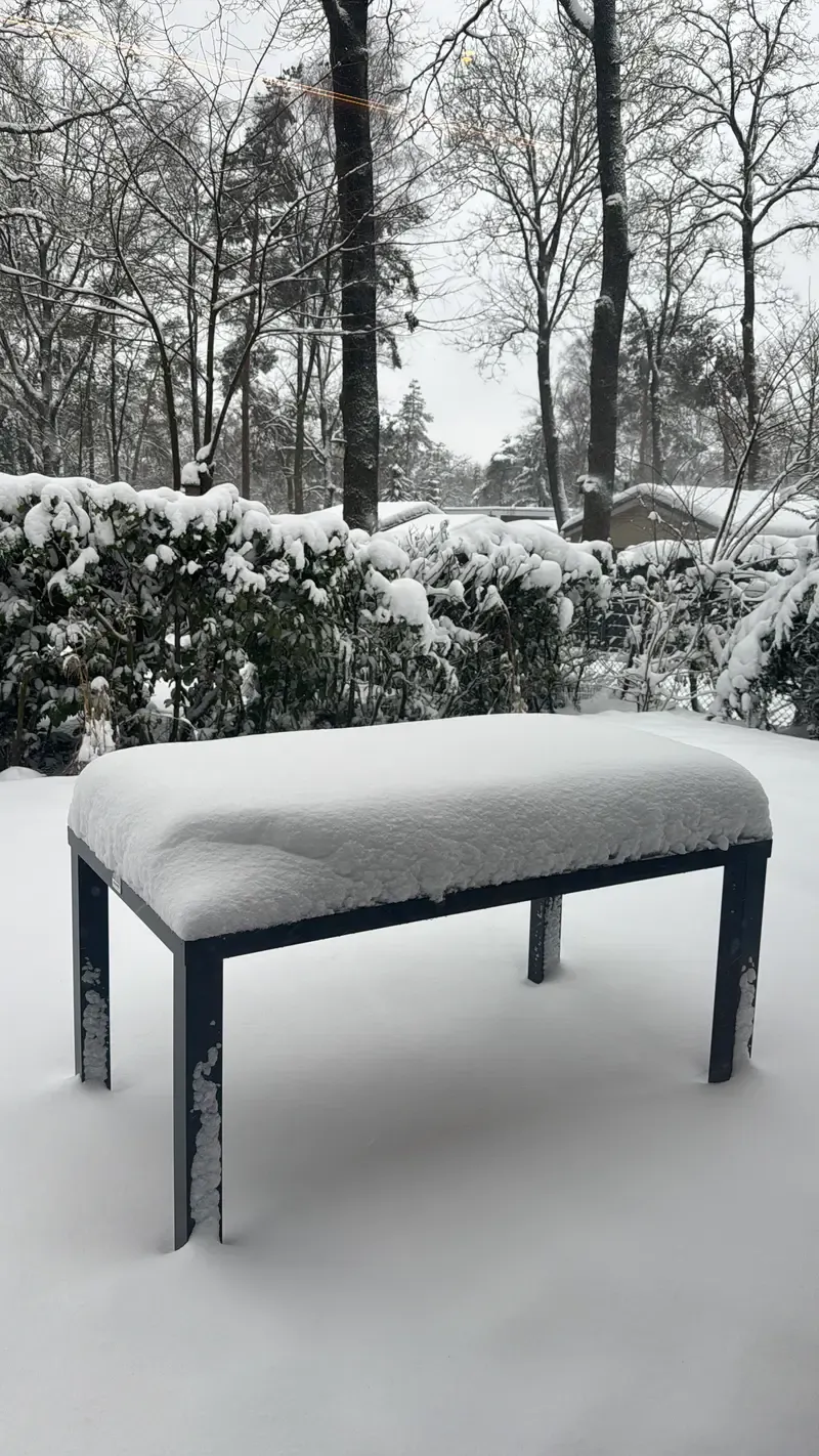 Winter landscape on the Veluwe with fresh snow