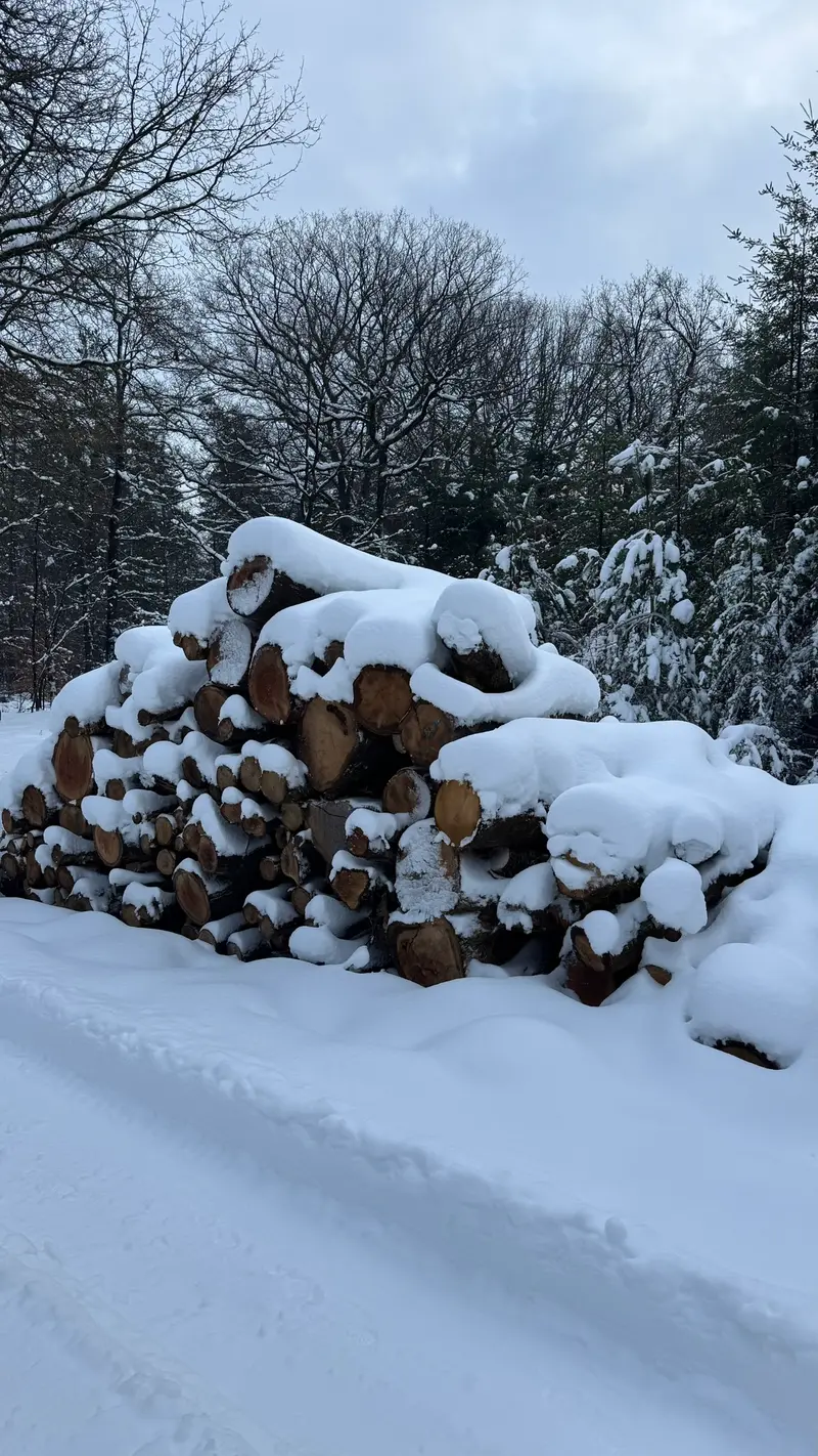 Even wit op de Veluwe: 6 en 7 januari