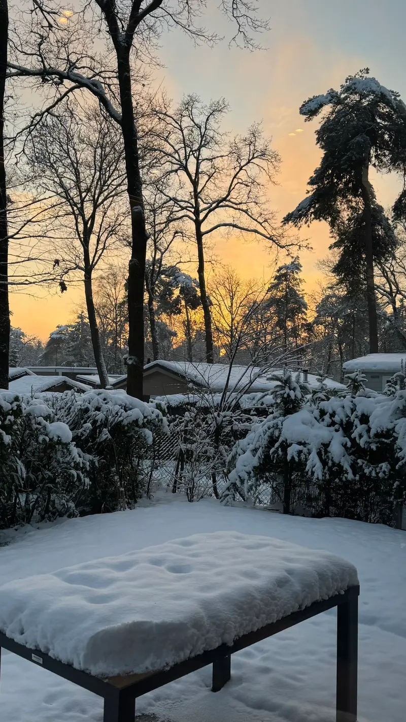 Winterwandeling Veluwe met sneeuw