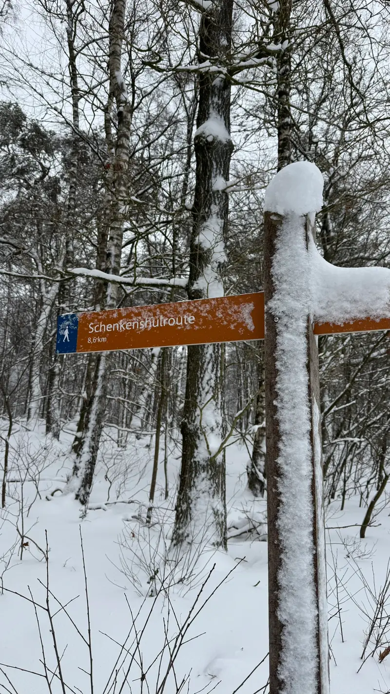 Sprookjesachtig winterlandschap Veluwe