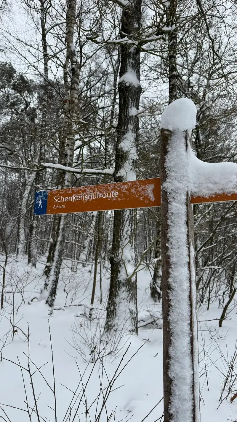 Fairytale winter landscape Veluwe